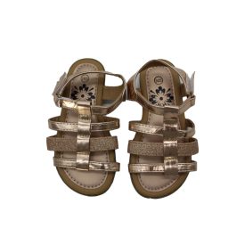 CSILLOGÓ SZANDÁL 24/25