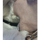 TOM TAILOR BÉLELT CSIZMA 39